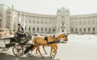 man riding horse carriage on road during daytime